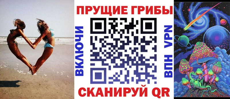 купить наркотики цена  Фокино  Псилоцибиновые грибы GOLDEN TEACHER 